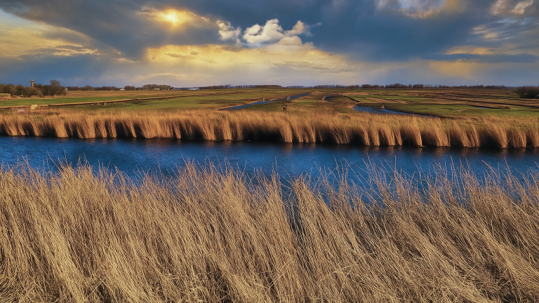 Landschap met wuivend riet aan de oevers van een stromende rivier, met groene velden, een vuurtoren in de verte, en een bewolkte hemel waarin de zon doorbreekt.