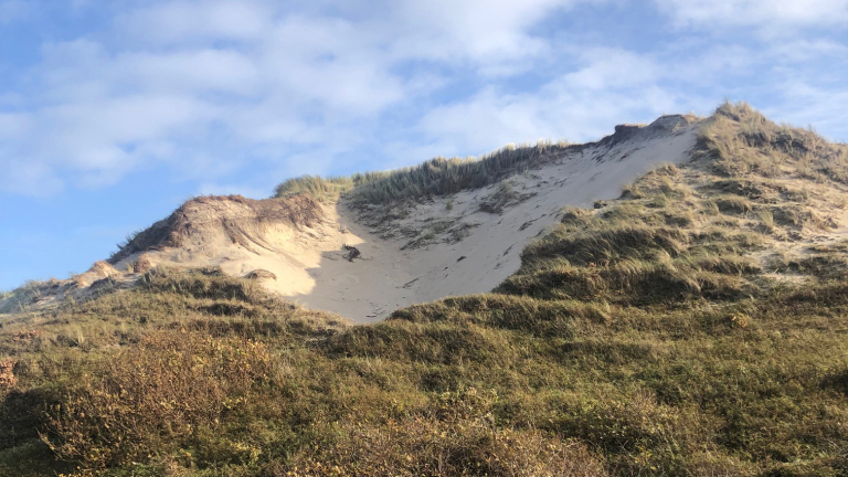 Wandeling door de duinen van Bergen aan Zee met IVN 🗓