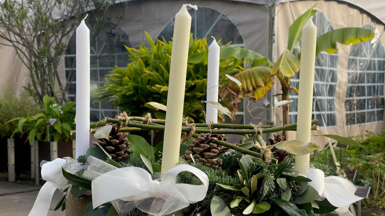 Workshop Adventskrans maken bij Hortus Alkmaar 🗓