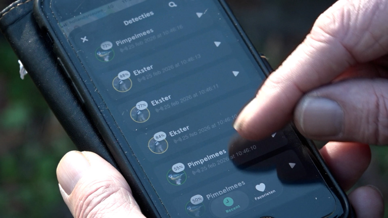 Innovatief project in Alkmaar: AI luistert naar vogels om populatie in beeld te brengen