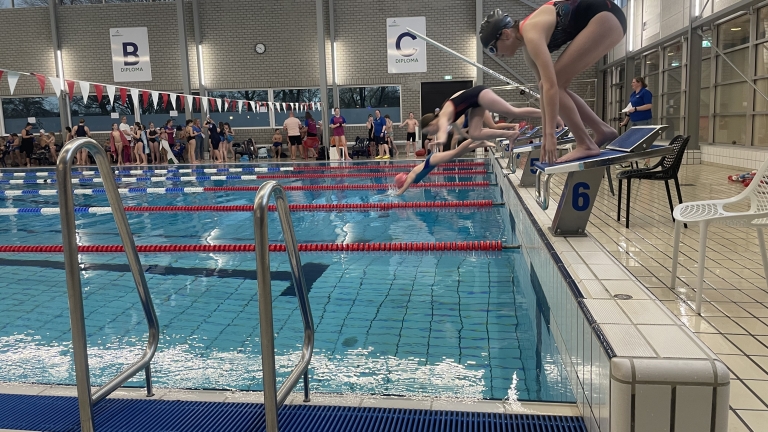 Zwemwedstrijd in een binnenzwembad met zwemmers die van startblokken springen en toeschouwers langs de kant.