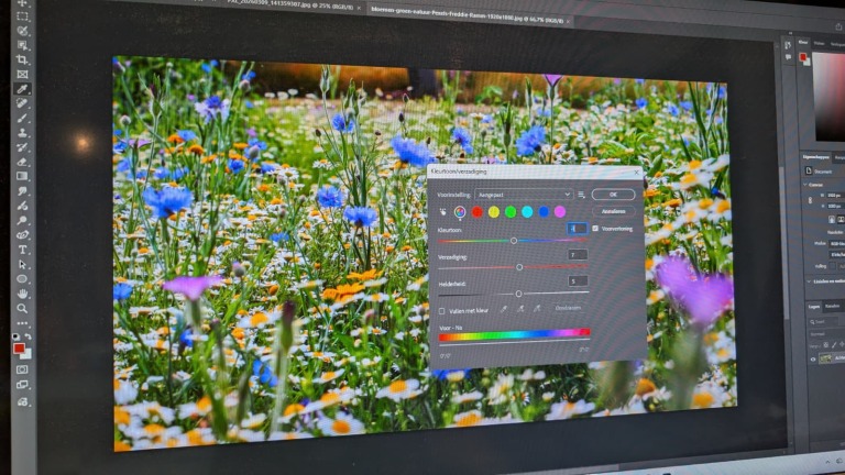 Digitale afbeelding van bloemen in een fotobewerkingsprogramma, met aanpassingen in kleurtinten en verzadiging.