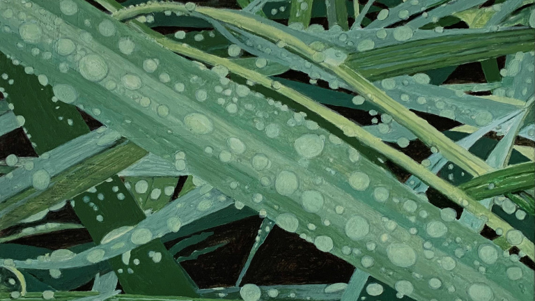 Tentoonstelling Alles Groen: kunstenaars onderzoeken de kracht van de kleur groen 🗓