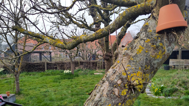 Omwonenden gefrustreerd door saga rond Slotkwartier: “Regels gelden alleen als het gemeente uitkomt”