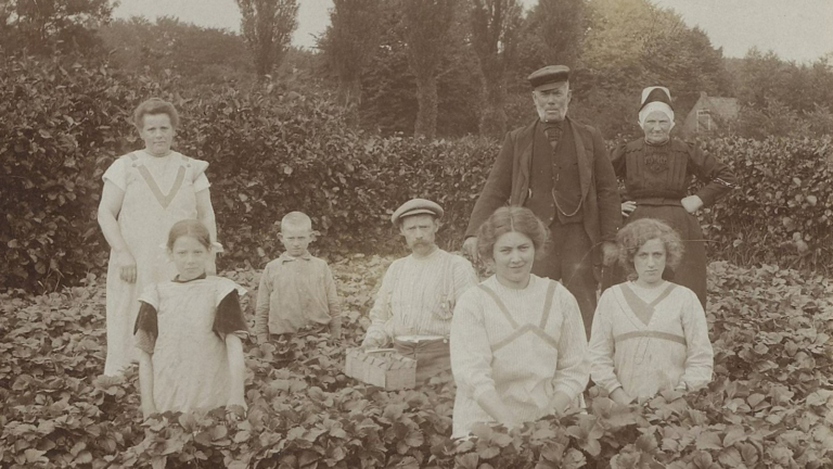 Lezing en inloopmiddag over genealogie bij Regionaal Archief 🗓