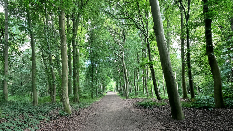 Wandeling door Oer-IJ gebied in Beverwijk laat verborgen geschiedenis zien 🗓