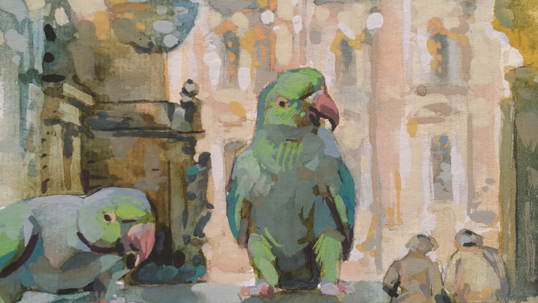 Expositie ‘Aangeland’ met kleurrijke parkieten in Bibliotheek De Mare 🗓
