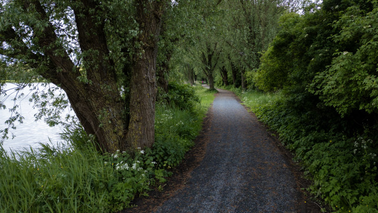 Alkmaars wandelpaadje maakt wereld schoner: “Waarom zou je het niet doen?”