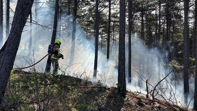 Brandweer voorkomt door snel ingrijpen grotere natuurbrand in Schoorlse duinen