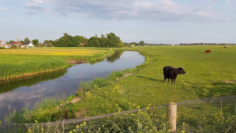 Fietsexcursie door historisch Oer-IJ gebied bij Castricum 🗓