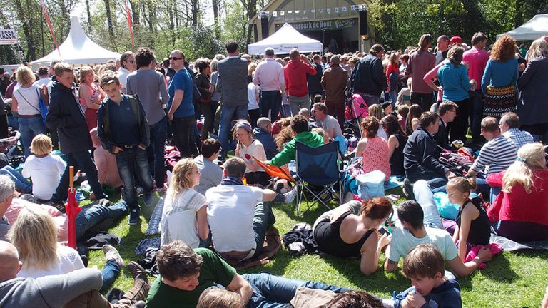 HoutPop met muziek van bluegrass tot art-punk 🗓