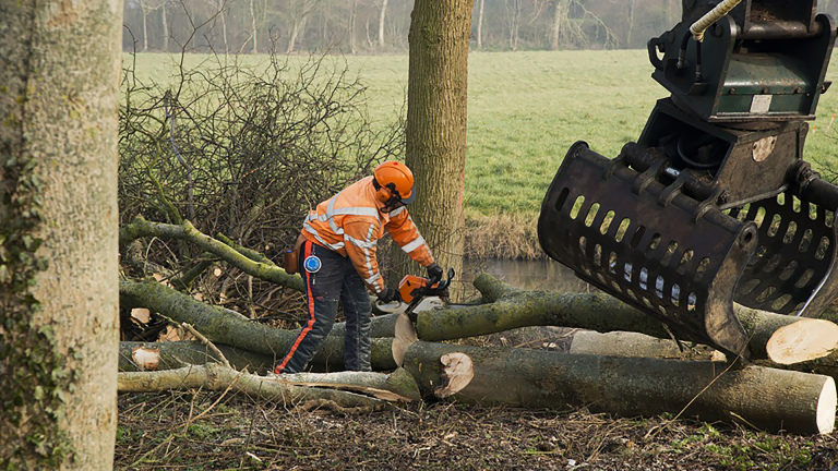 Bosarbeider in oranje veiligheidskleding zaagt boomstammen met kettingzaag, naast een graafmachineklauw
