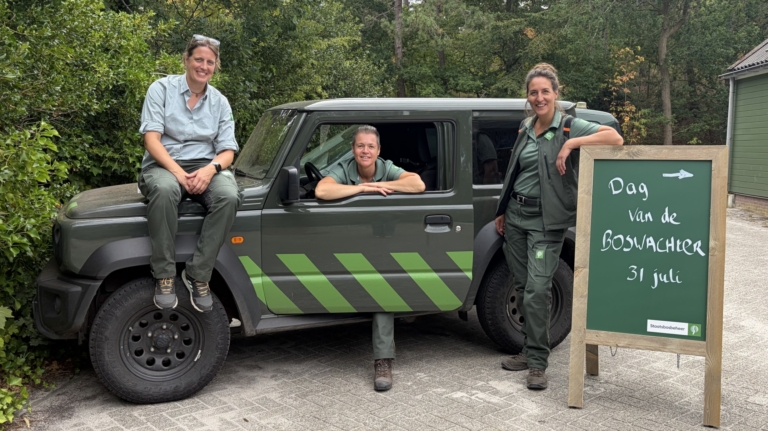 Boswachter is veel meer dan wandelen door het bos: “Bescherm wat je bewondert”
