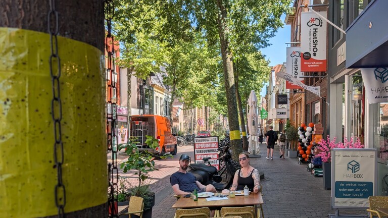 Geel plakband om Alkmaarse bomen blijkt slimme truc: “Hele bio-industrie daarboven”