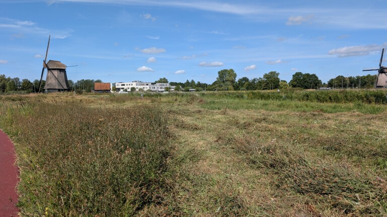 Maaien ondanks droogte gaat van ‘niet onderzocht’ tot ‘zo min mogelijk met hitte’