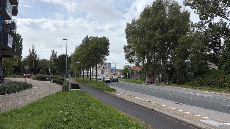 Te hard, door rood en veel herrie: bewoners zijn verkeer Nieuwe Schermerweg zat