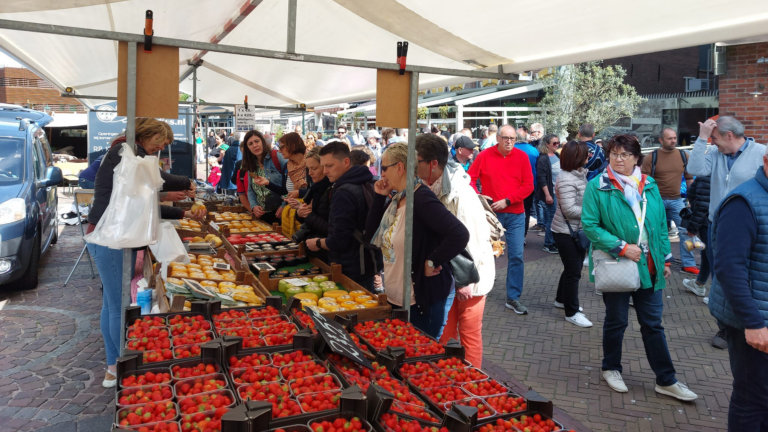 Stijgende kosten en uitblijven steun bedreigen Alkmaarse markten: BAS wil actie