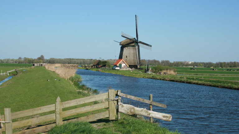 ‘Versnelling’: provincie zet druk op natuurontwikkeling Weidse Polders