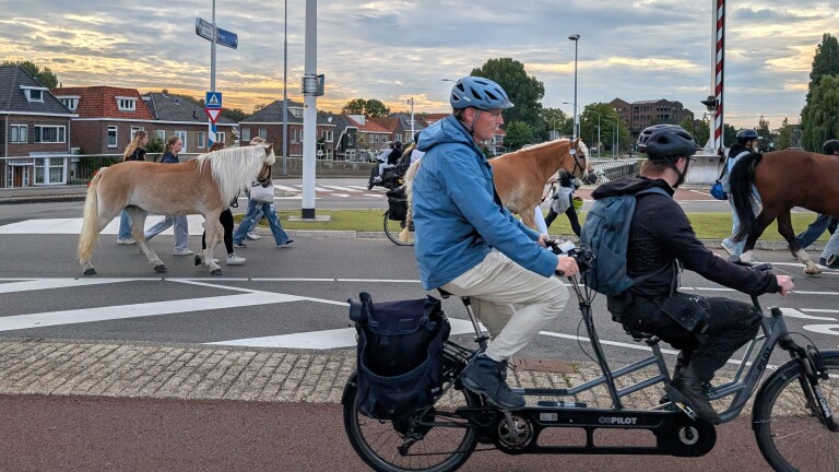 Paardenhoeven op de Friesebrug: Alkmaarse Landbouwdag begonnen met traditionele stoet