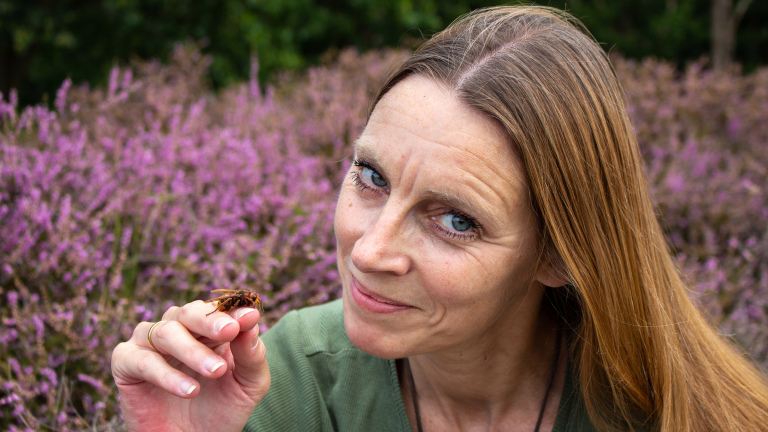 Insecten in de hoofdrol tijdens lezing in Museum BroekerVeiling 🗓