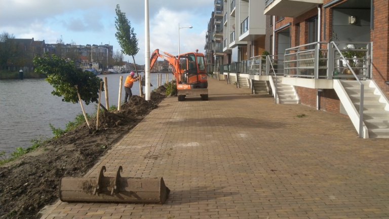 Alkmaar ‘op koers’ met aanplant 5.000 bomen, weggeefactie gestopt