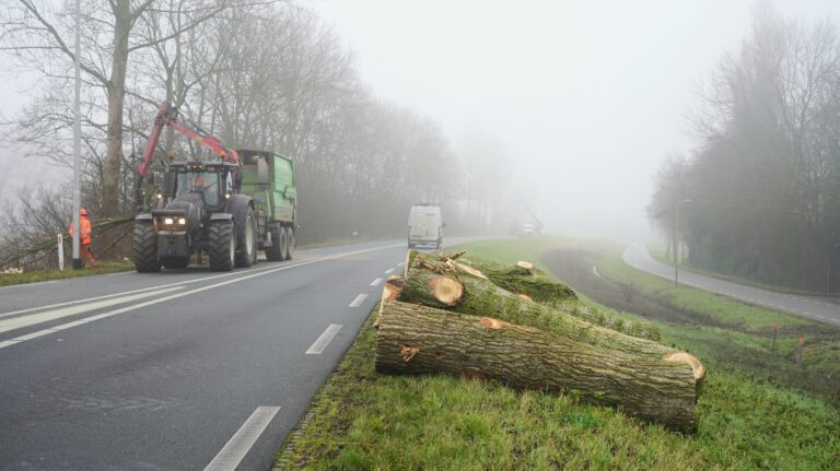 Wegafsluitingen voor verwijdering van laatste tachtig populieren op Westdijk