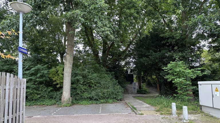 Groene voetpadingang met straatnaambord 'Schoenerpad' aan een lantaarnpaal, omringd door bomen en struiken.