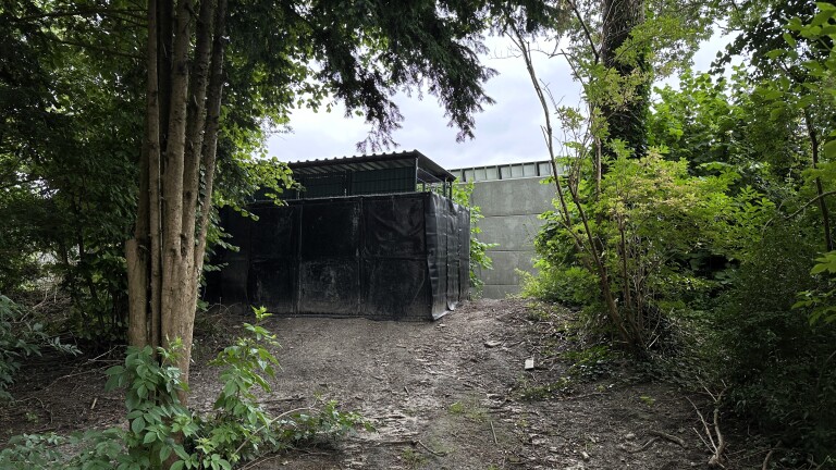 Ongeschikte constructie verborgen in een bosrijke omgeving met bomen en struiken.