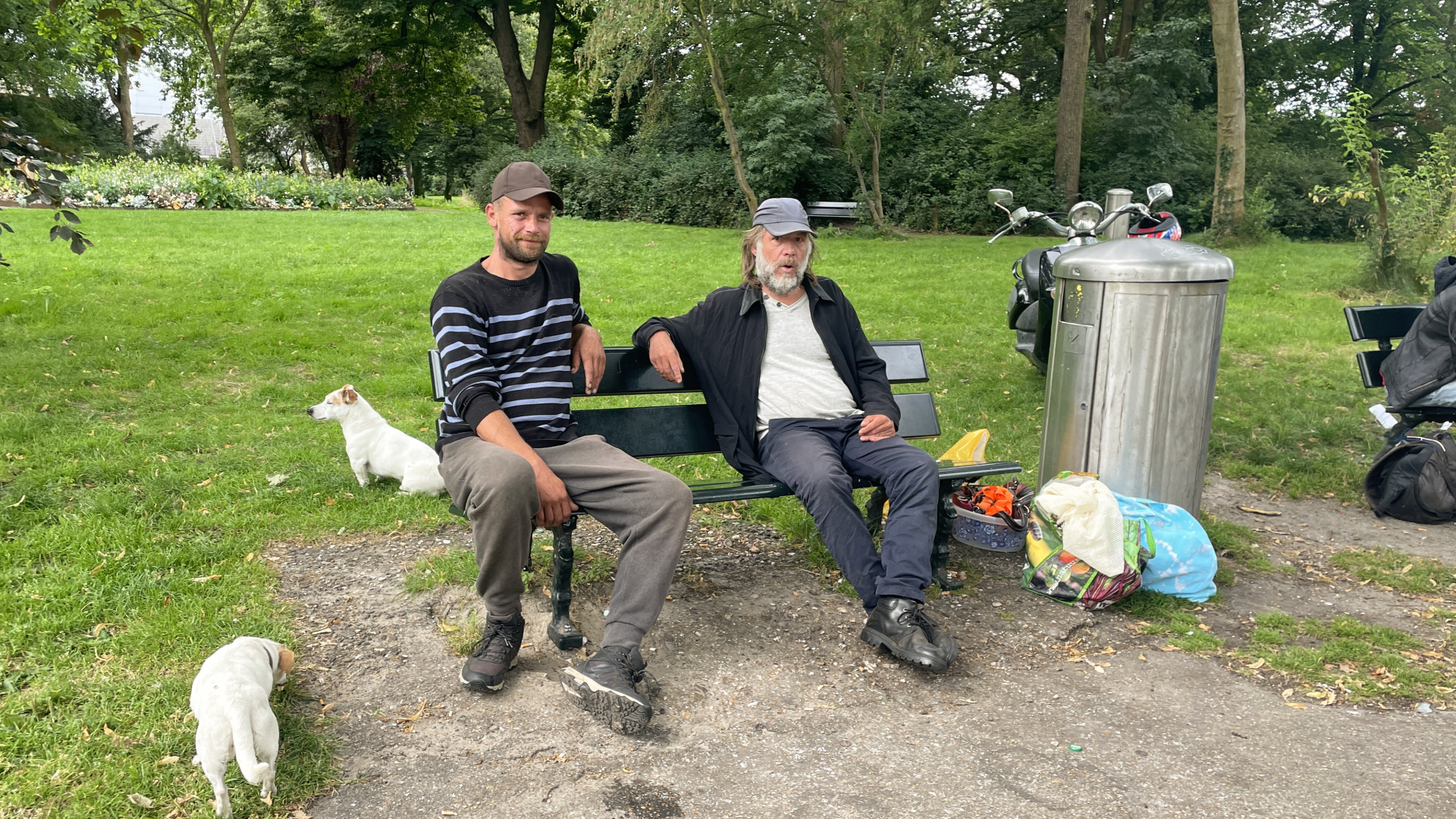 Twee mannen zitten op een bankje in een park met twee honden, omringd door groen en bomen.