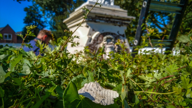 Blad en takken op de voorgrond met op de achtergrond vage contouren van een persoon en een monument.