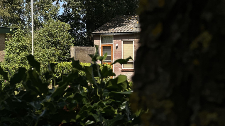 Een bakstenen huis met een schuin dak, omgeven door bomen en struiken, gefotografeerd door bladeren in de voorgrond.