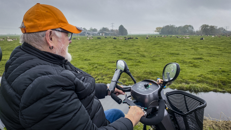 Man in een oranje pet rijdt op een scootmobiel langs een weiland met koeien.