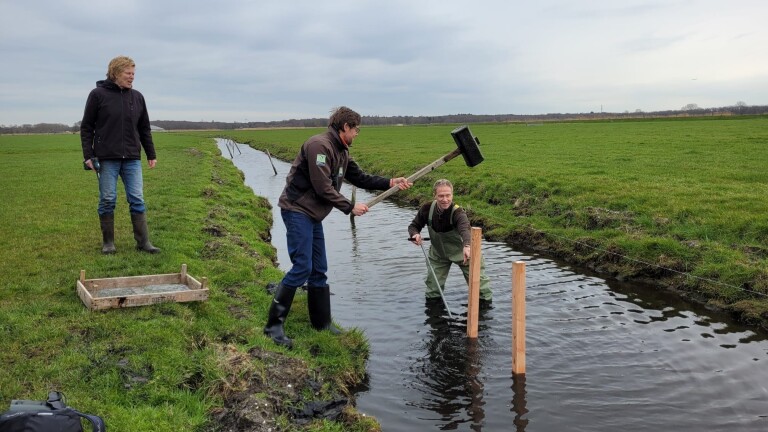 Drie mensen werken in een sloot; een man slaat een paal in de grond met een grote hamer terwijl een ander in het water staat en aanwijzingen geeft. Een vrouw kijkt toe vanaf de kant.