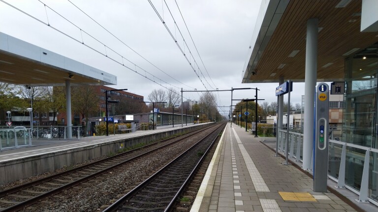 Een leeg treinstation met twee perrons en bovenleidingen, omgeven door bomen en gebouwen op een bewolkte dag.