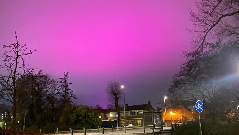 Straatbeeld met bomen en een felroze lucht in de avond.