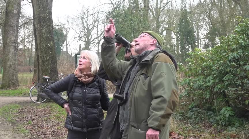 Drie mensen in een bos, een kijkt omhoog en wijst, een andere persoon gebruikt een verrekijker.