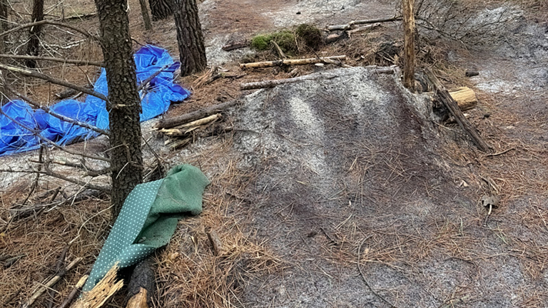 Een bosgebied met dorre boomtakken, een blauwe en een groene dekzeil op de grond en losliggende dennennaalden.