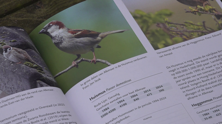 Een open boek met informatie en foto's van huismussen, waaronder statistieken en beschrijvingen van hun populatie in Nederland.