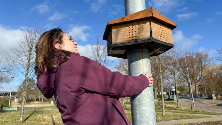 Een persoon in een paarse jas omhelst een paal met een insectenhotel, in een open park bij zonnig weer.