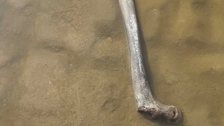 Een groot bot ligt half onder het zand in ondiep water.