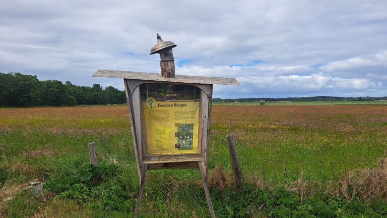 Een houten infobord met daarop een poster van Ecodorp Bergen staat in een open veld met gras en wilde bloemen, met bossen op de achtergrond onder een bewolkte lucht.