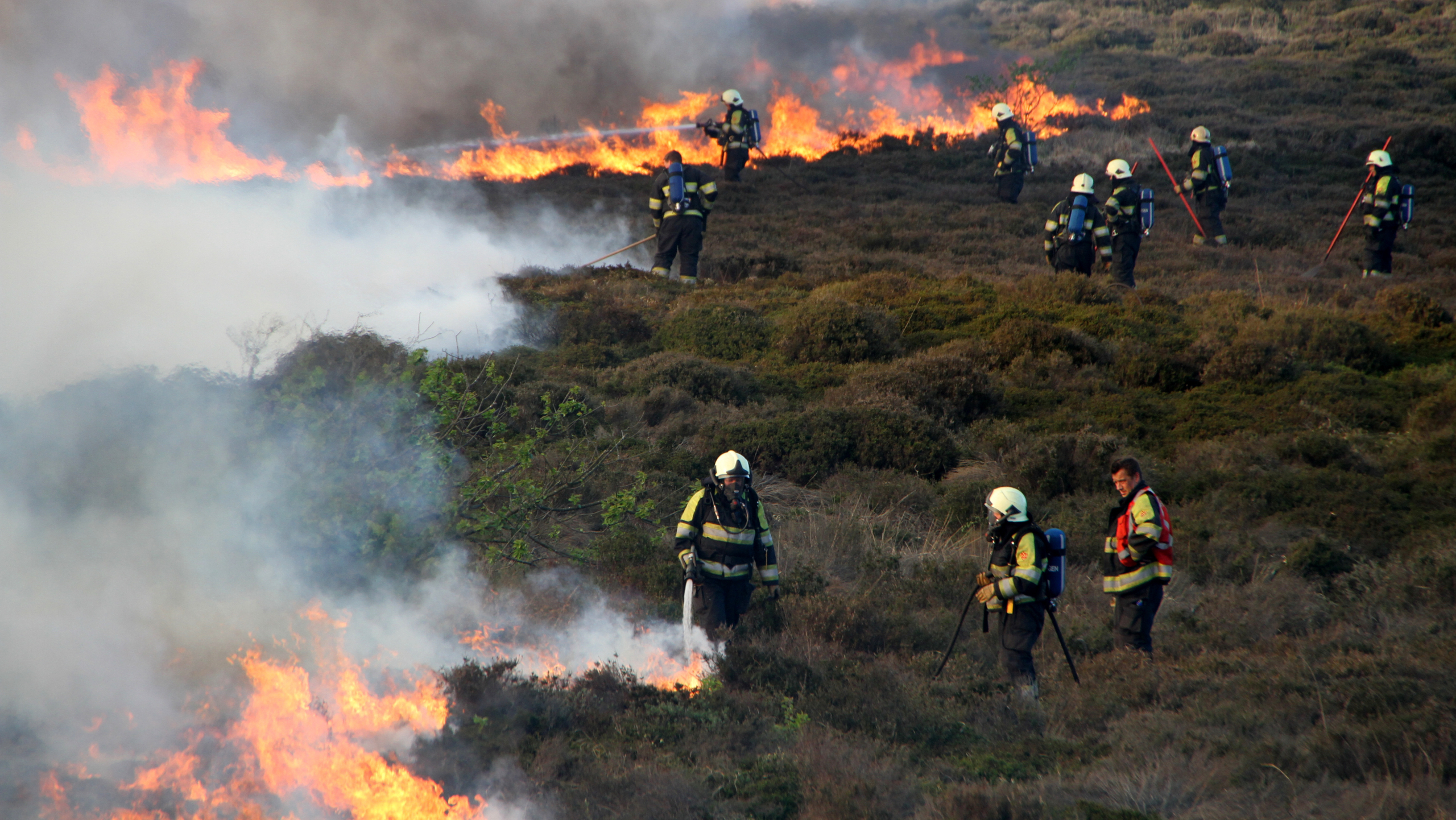 Brandweerlieden bestrijden een bosbrand op een glooiend terrein, omringd door rook en vlammen.