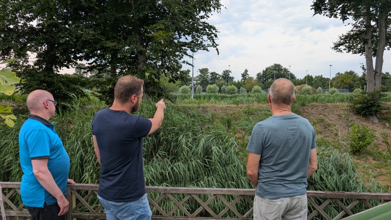 Drie mannen staan op een platform met houten railing en kijken naar een groen landschap met hoge grasplanten en bomen.