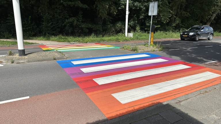 Een zebrapad in regenboogkleuren in een straat met een voorbijrijdende auto en bomen op de achtergrond.