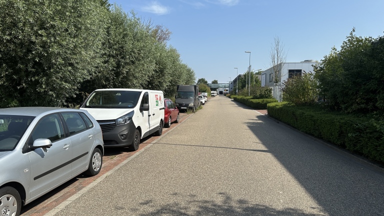 Een rustige straat met auto's geparkeerd langs de stoep en een rij bomen aan de linkerzijde, onder een heldere blauwe lucht.