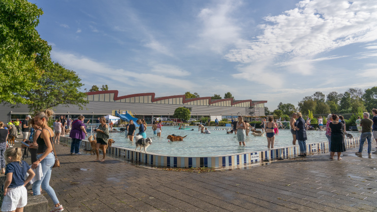 Mensen en honden in een ondiep zwembad bij zonnig weer, omringd door toeschouwers en een groen landschap in de achtergrond.