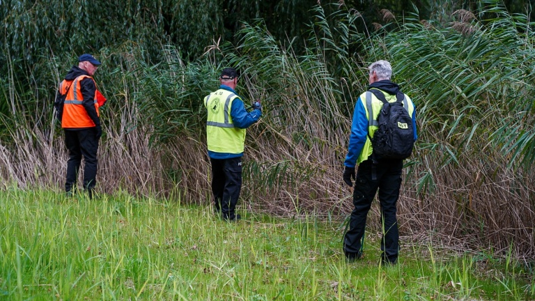 Drie mensen in heldere reflecterende vesten zoeken in dichte vegetatie bij een bosrand.