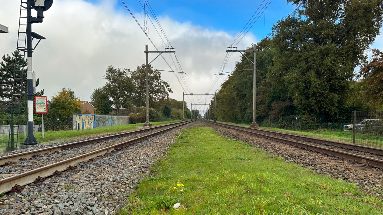 Recht stuk treinspoor met grind en gras in het midden, geflankeerd door bomen en met blauwe lucht en witte wolken erboven; links staat een verkeersbord en zijn er muren met graffiti te zien.