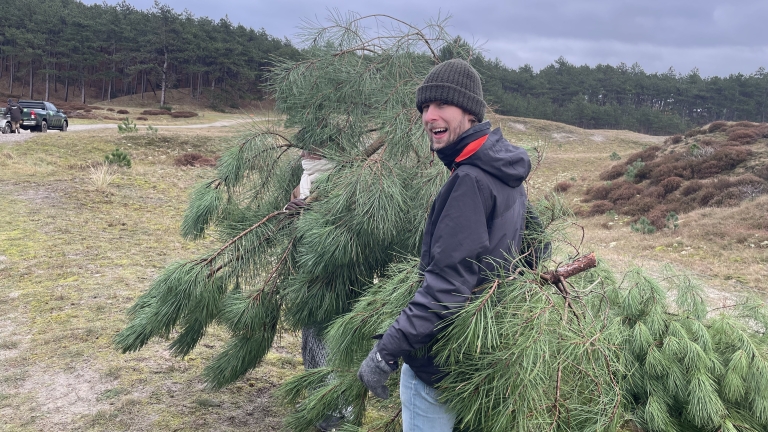 Een man met een muts en handschoenen lacht terwijl hij een grote dennenboomtak draagt in een open veld met gras en heide, omgeven door een bos op de achtergrond en een auto aan de rand van het pad.