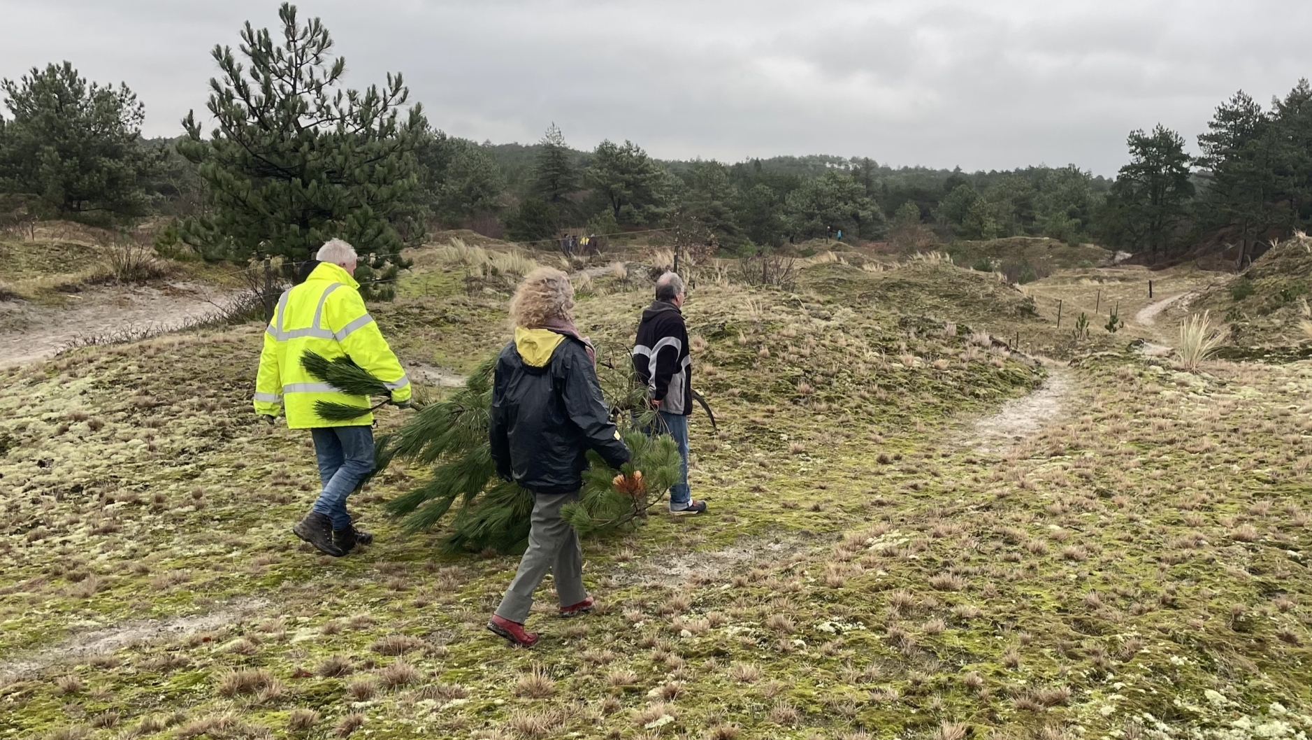 Drie mensen dragen een spar over een mosachtig landschap met dennen in de achtergrond.